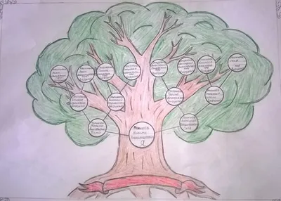 Как нарисовать родословное дерево (51 фото) » Идеи поделок и аппликаций  своими руками - Папикпро.КОМ
