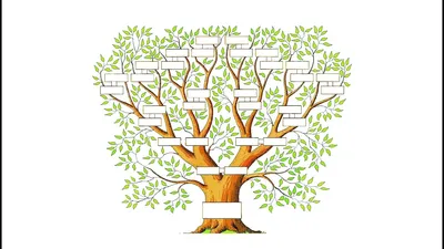 Шаблон Семейного Дерева Винтаж Вектор Иллюстрация — стоковая векторная  графика и другие изображения на тему Фамильное древо - Фамильное древо,  Иллюстрация, Векторная графика - iStock