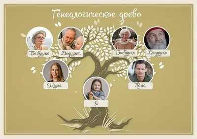 Дерево семейное шаблон: фото и картинки - pictx.ru