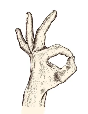 Рука человека стоковое фото. изображение насчитывающей солнце - 29070558