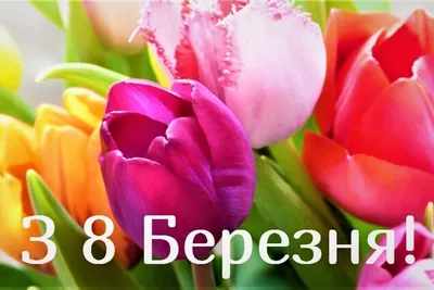 Поздравление с Международным женским днём! | 07.03.2019 | Новокузнецк -  БезФормата