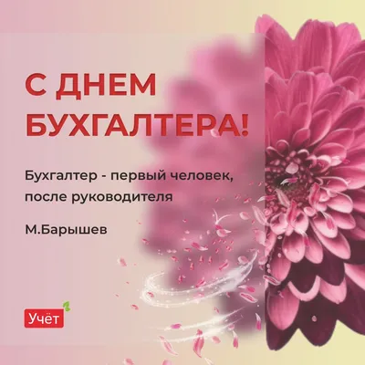 Прикольная открытка с Днём Бухгалтера, с котом в очках • Аудио от Путина,  голосовые, музыкальные