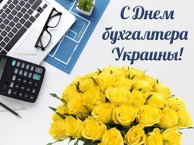 День бухгалтера в Украине 2020 - поздравления в стихах, прикольные картинки  и открытки
