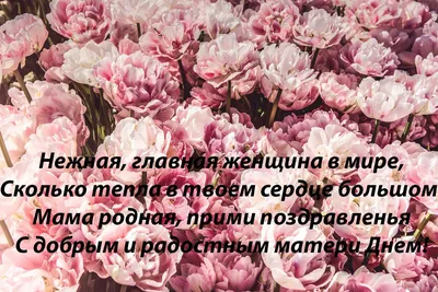 С праздником, дорогие мамы! – Новости – Окружное управление социального  развития (городского округа Клин)