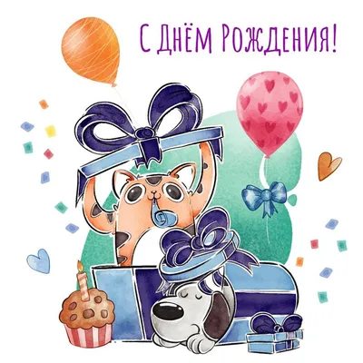 Пёс и кот мальчику: открытки ко дню рождения - инстапик | Открытки, С днем  рождения, Открытки ко дню рождения