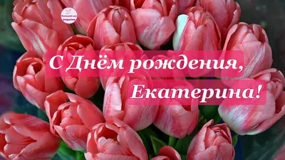 С днем рождения, Екатерина Владимировна! • БИПКРО