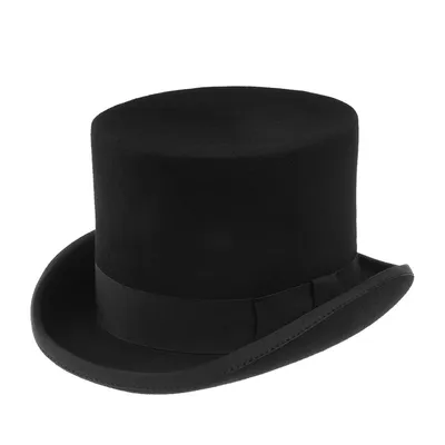 Шляпа цилиндр CHRISTYS FASHION TOP HAT cwf100006 (черный) купить за 11490  RUB в Интернет магазине | Страница 100006