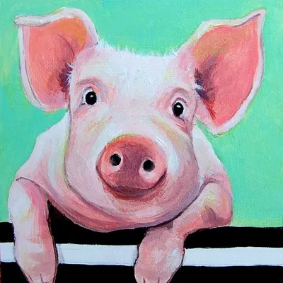 Детские рисунки каракули свиньи Иллюстрация Stock | Adobe Stock