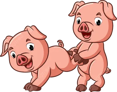 Гравюра Иллюстрация Большой Головой Свиньи — стоковая векторная графика и  другие изображения на тему Свинья - Копытное животное - Свинья - Копытное  животное, Голова, Гравюра - iStock
