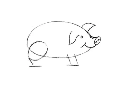 Векторный Рисунок Свиньи — стоковая векторная графика и другие изображения  на тему Свинья - Копытное животное - Свинья - Копытное животное, Свинина,  Животное - iStock