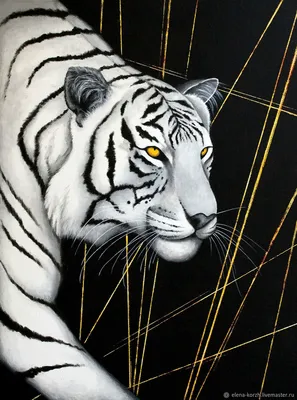 тигр пнг картинки, скачать 21000+ тигр PNG рисунок с прозрачным фоном