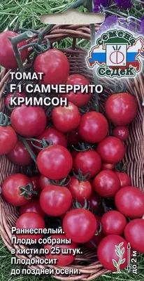 Томат Самурай Купить элитные семена онлайн доставка по РФ | Гавриш шоп