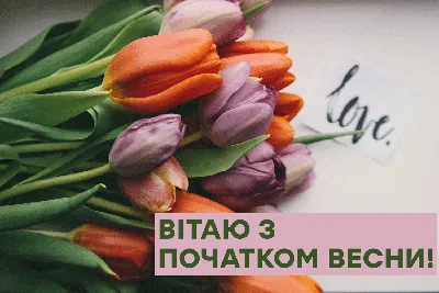 Открытки с первым днем весны 2023 — открытки весна, проза, стихи на  украинском, 1 марта / NV