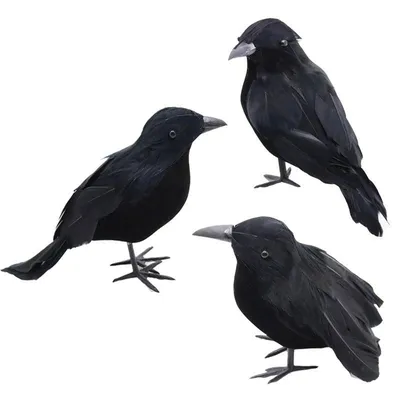 Искусственная птица с крыльями из перьев, пластиковая, черная ворона, 1 шт.  | AliExpress