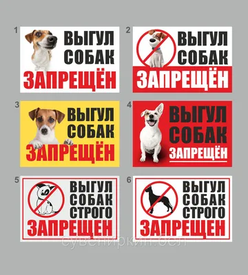 Знак выгул собак запрещен, табличка выгул собак запрещен купить в Украине |  Бюро рекламных технологий