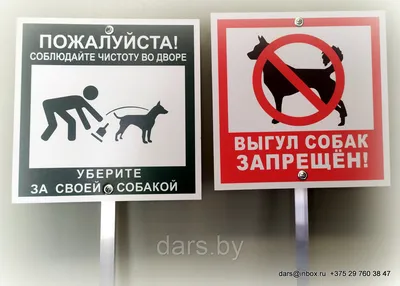 В Хабаровске вырос спрос на знаки «Выгул собак запрещён» - 27Region.Ru -  Сайт Хабаровска