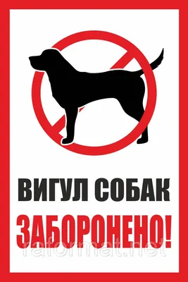 Пластиковая табличка Выгул собак запрещен в Москве – цены, характеристики,  отзывы