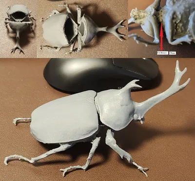 Майский жук и хрущ. Как избавиться от вредителя | PRO ОГОРОД | Дзен