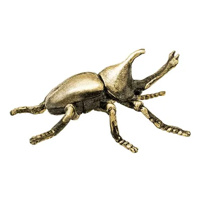 Антенна жука Брайна стоковое изображение. изображение насчитывающей  аргентинские - 60081055