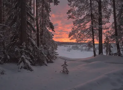Путь через снежный пейзаж зимней природы. Красивая Snowcovered фон зимы  дерева Стоковое Фото - изображение насчитывающей сезон, блицкрига: 209757606