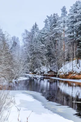Потрясающие фотографии зимней природы (40 фото)