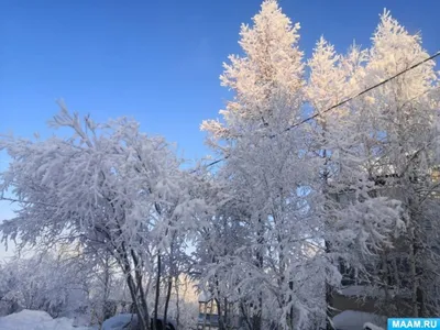 Путь через снежный пейзаж зимней природы. Красивая Snowcovered фон зимы  дерева Стоковое Фото - изображение насчитывающей январь, напольно: 209757596