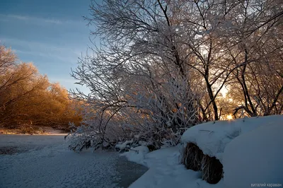 Красивые фотографии зимней природы