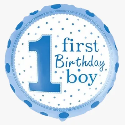 фотосессия мальчика 1 год - Поиск в Google | Детские дни рождения, День  рождения мальчики, Фотографии с дня рождения