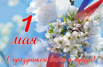 СИАМ консалтинг - 🌷С 1 мая! С праздником Весны и Труда! 🌷 Международный  праздник – День весны и труда, отмечают 1 мая во многих странах мира, в том  числе и России ⠀