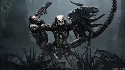 Fallout3.RU: Галерея. Predator - win! (1920x1080)