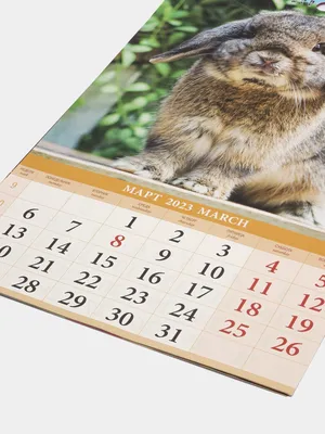 Календарь перекидной на ригеле \"Символ года - 5\" 2022 год, 320х480 мм  купить, отзывы, фото, доставка - kocos-sp.ru Совместные закупки косметики.