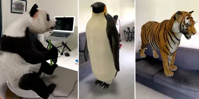 Google животные 3D: как работают и каких животных можно посмотреть