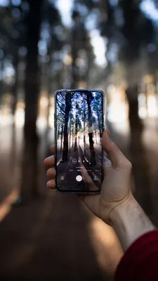 Скачать 540x960 телефон, рука, съемка, лес обои, картинки samsung galaxy s4  mini, microsoft lumia 535, philips xenium, lg l90, htc sensation