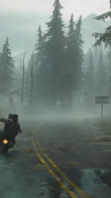 Days Gone 540x960 - Wallpaper - Обои из игр (для рабочего стола и телефона)