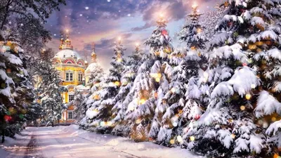 6 января – Навечерие Рождества Христова (Рождественский сочельник) - Лента  новостей Донецка