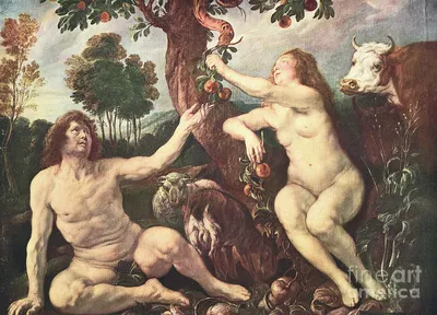 Albrecht Dürer's Adam and Eve: heavenly bodies | Art and design | The  Guardian