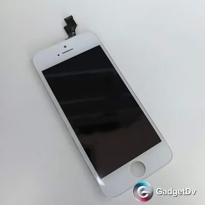 Черный корпус на iPhone 5 5s с золотыми гранями и золотым яблоком | i-Сервис