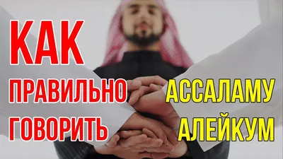 Путин поприветствовал муфтия словами «алейкум ас-салям»: Политика: Россия:  Lenta.ru