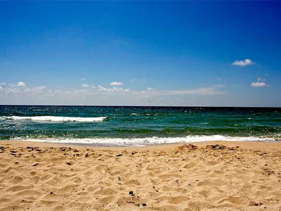 10 самых чистых и комфортных пляжей Анапы - Журнал Виасан