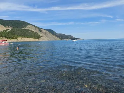 Три месяца на море., Анапа | отзывы