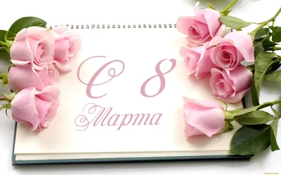 Рузина Анастасия - Совсем скоро! Тюльпаны к 8 марта 2021 года! В красивых  букетах⚘⚘⚘🌷🌷🌷, упаковка на выбор, цена от 400 и до 600тг за штуку.  #тюльпанывалматы | Facebook