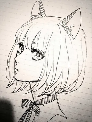 Рисунок кошки карандашом для срисовки аниме - 58 фото