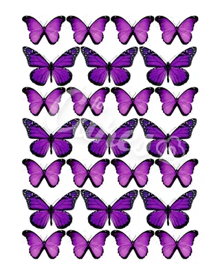 Вафельные картинки «Бабочки» (id 49751597), купить в Казахстане, цена на  Satu.kz