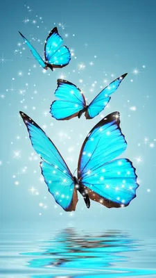 красочные бабочки на фоне гранж, цветные картинки бабочек фон картинки и  Фото для бесплатной загрузки