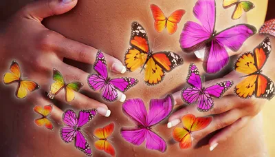 Что такое бабочки в животе | Алиса в Зазеркалье | Дзен