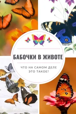 бабочки в животе