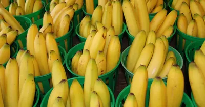 Банан купить в Минске: недорого в интернет-магазине Едоставка