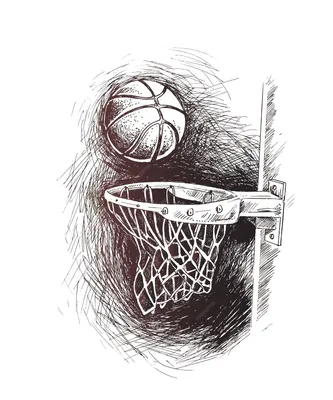 История вопроса. Цвет и узор баскетбольного мяча - Фото