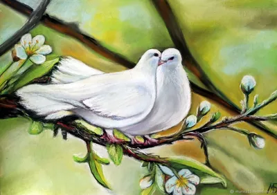 Пара белых голубей» — создано в Шедевруме