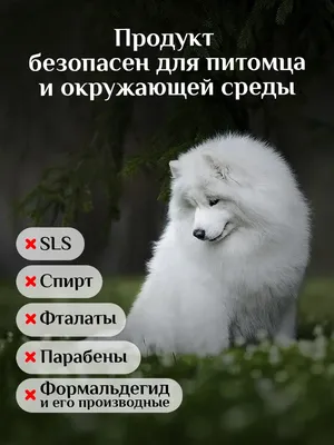 Корм для белых собак мелких пород купить в Украине ✔️ цена от  производителя, Киев, Харьков, Днепр, Одесса